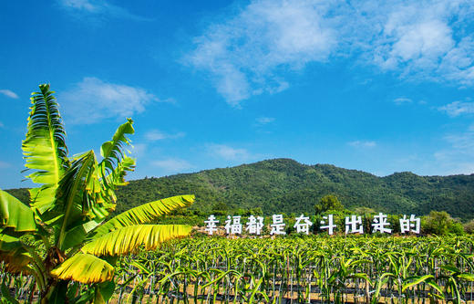 定制【夏令营】一场少年机长的海陆空奇幻探险 商品图8