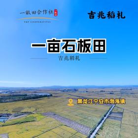 吉兆稻礼｜保护稀缺石板田，关注家人健康（一亩石板田）