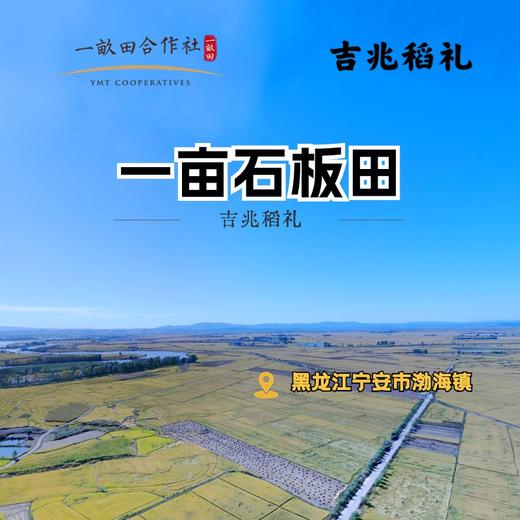 吉兆稻礼｜保护稀缺石板田，关注家人健康（一亩石板田） 商品图0