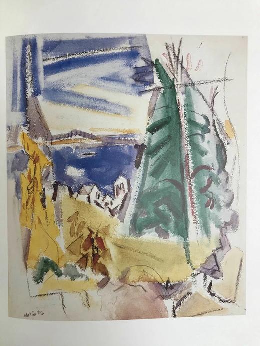 埃布斯沃思收藏：美国现代主义，1911-1947年 75幅彩色插图 精装16开 商品图14