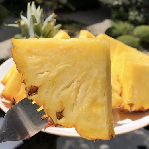 【海南有机金钻凤梨】金黄色的果肉，果香淡雅迷人， 果肉带来的甜蜜滋味 不涩口不麻嘴无需盐泡 肉质脆嫩、细腻、纤维少，还有丰盈的汁水一咬就爆汁 商品图6