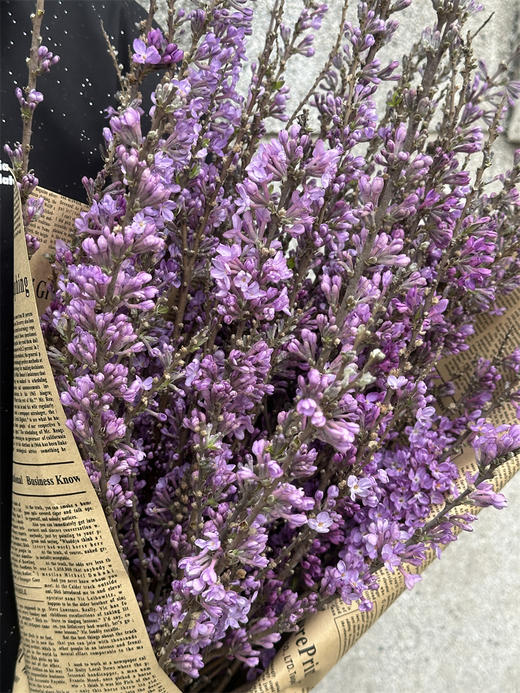 季节限定花材野丁香花 商品图13