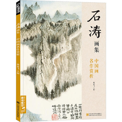 石涛画集 中国画名作赏析 商品图0