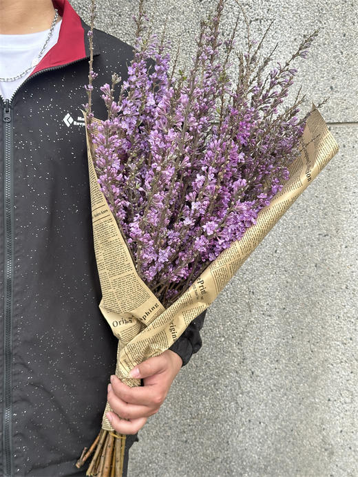 季节限定花材野丁香花 商品图5
