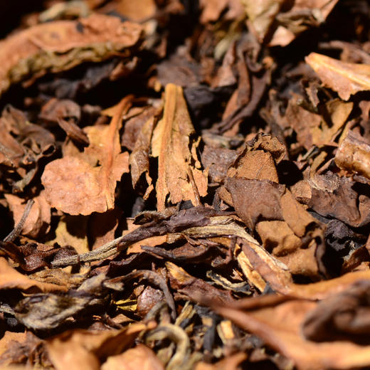 七年陈困鹿山贡茶基地古树老白茶！市面无货，独家货源分享！600g大竹筐装！枣香浓郁，汤体醇厚，入口野花香非常充足！ 商品图2