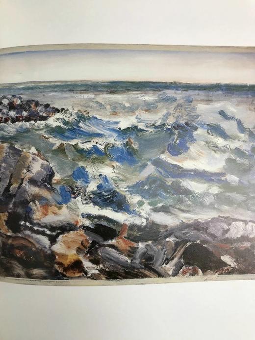 埃布斯沃思收藏：美国现代主义，1911-1947年 75幅彩色插图 精装16开 商品图13