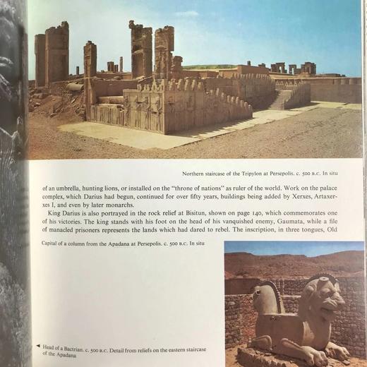 近东与中东艺术图集 291幅插图（150幅彩色） 精装18开 商品图12
