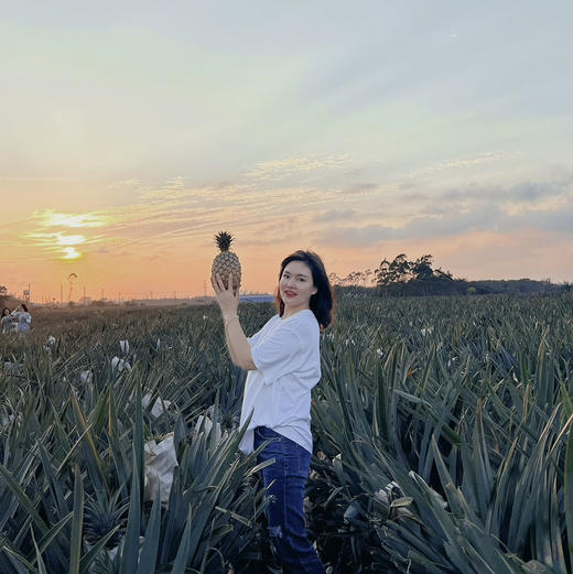 【海南有机金钻凤梨】金黄色的果肉，果香淡雅迷人， 果肉带来的甜蜜滋味 不涩口不麻嘴无需盐泡 肉质脆嫩、细腻、纤维少，还有丰盈的汁水一咬就爆汁 商品图3