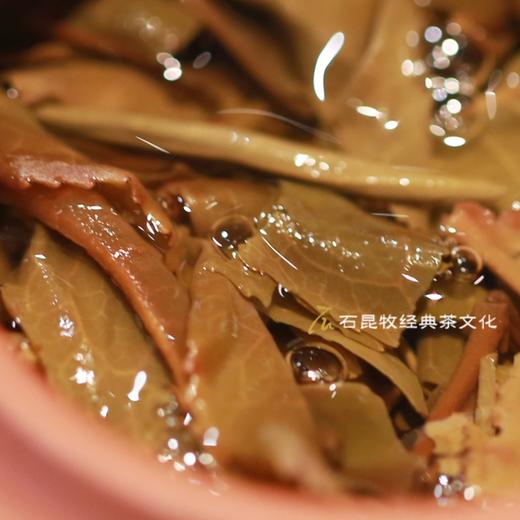 2024天下云茶普洱生茶 春光沁茶中 甜美、甘润、清灵 石昆牧老师定制 商品图5