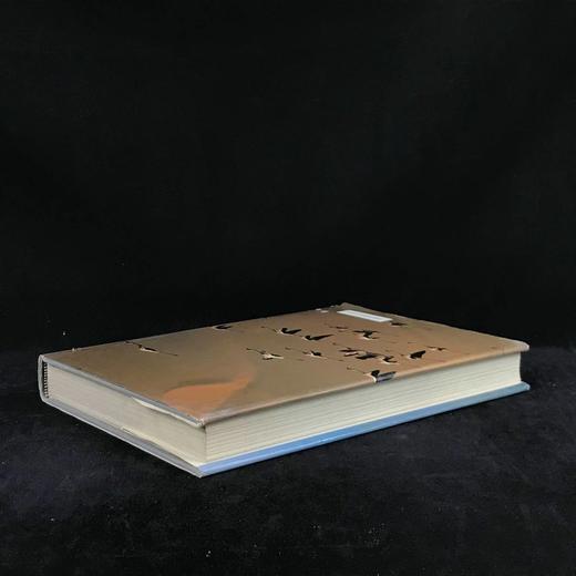 鸟类百科全书 700幅彩色插图 精装16开 商品图2