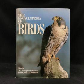 鸟类百科全书 700幅彩色插图 精装16开