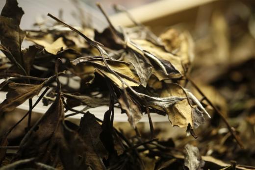 一片冰心在玉壶 携谁隐·福鼎寿眉白茶（2021） 商品图9