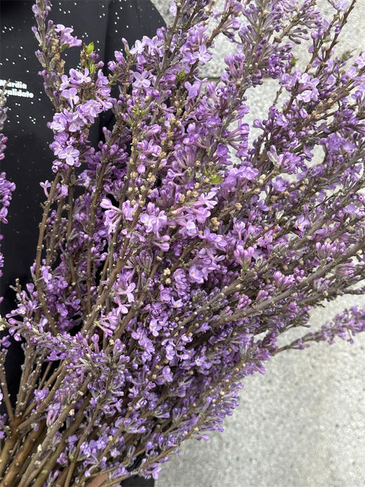 季节限定花材野丁香花 商品图3