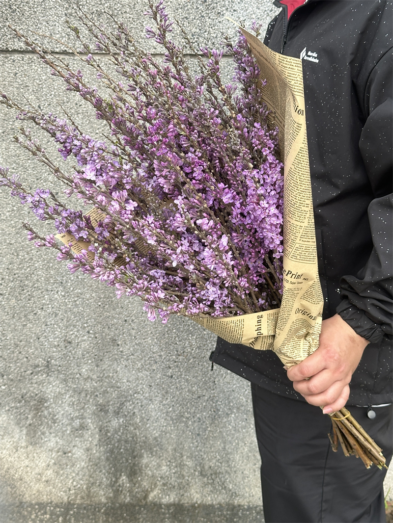 季节限定花材野丁香花