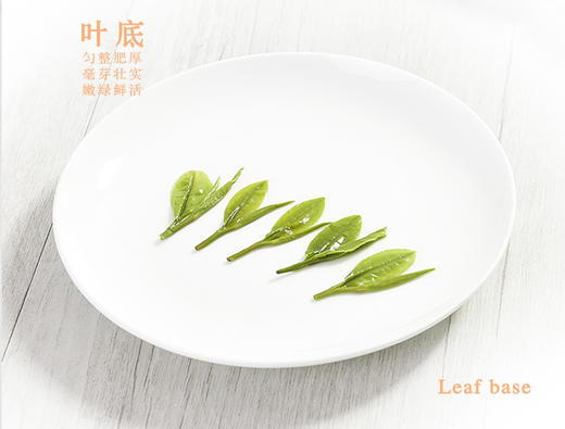 江山美人2025年明前云雾绿茶 商品图3