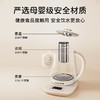 TZW-养生壶多功能家用全自动煮茶壶小型办公室烧水壶煮花茶器 商品缩略图1
