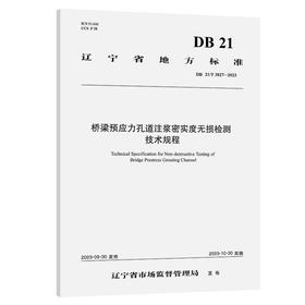 桥梁预应力孔道注浆密实度无损检测技术规程 DB 21/T 3827-2023