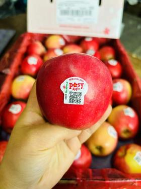 新西兰 小花 Posy苹果，被誉为新西兰最脆甜的苹果，实至名归！