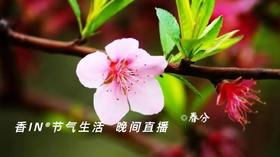 节气生活 春分晚直播