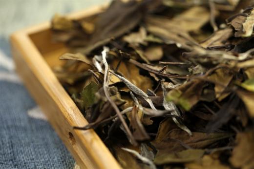 一片冰心在玉壶 携谁隐·福鼎寿眉白茶（2021） 商品图10