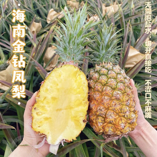 【海南有机金钻凤梨】金黄色的果肉，果香淡雅迷人， 果肉带来的甜蜜滋味 不涩口不麻嘴无需盐泡 肉质脆嫩、细腻、纤维少，还有丰盈的汁水一咬就爆汁 商品图5