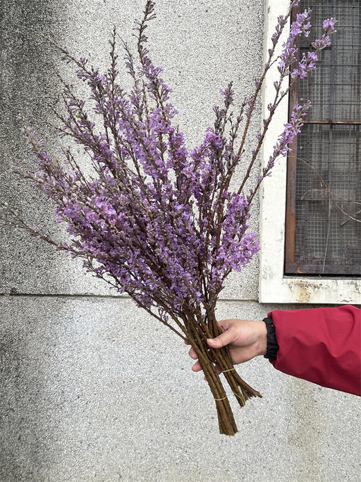 季节限定花材野丁香花 商品图12