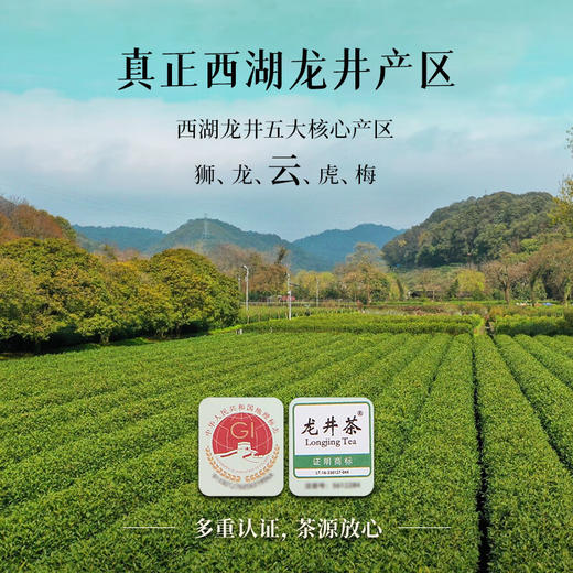 2024中茶抢鲜木盒-西湖龙井茶250g中粮出品 商品图4