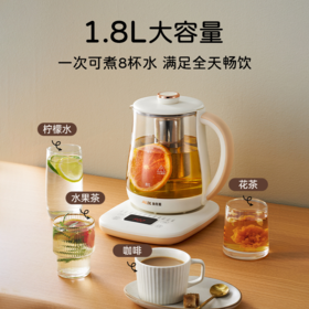 TZW-养生壶多功能家用全自动煮茶壶小型办公室烧水壶煮花茶器