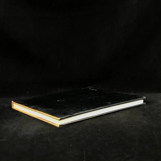 错觉派建筑彩绘图集 105幅彩色10幅黑白插图 精装16开 商品图2