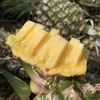 【海南有机金钻凤梨】金黄色的果肉，果香淡雅迷人， 果肉带来的甜蜜滋味 不涩口不麻嘴无需盐泡 肉质脆嫩、细腻、纤维少，还有丰盈的汁水一咬就爆汁 商品缩略图7