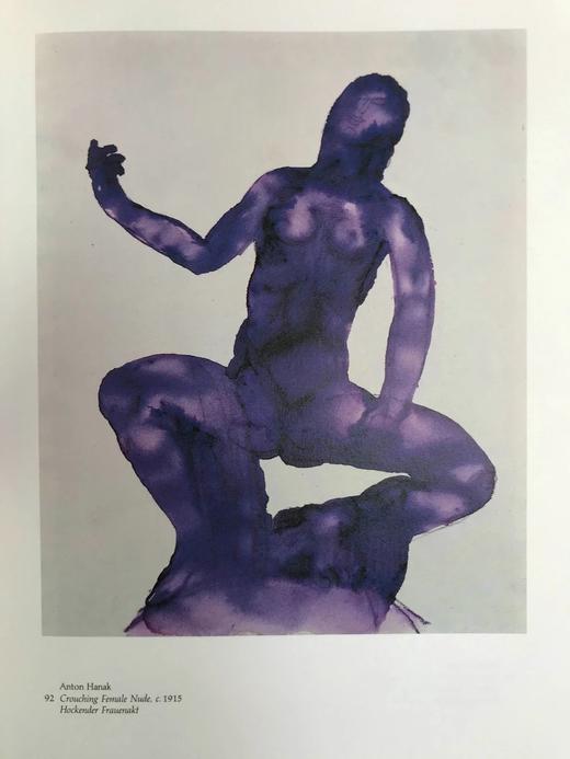 埃贡·席勒与他的同时代人 145幅插图 精装大16开 商品图6