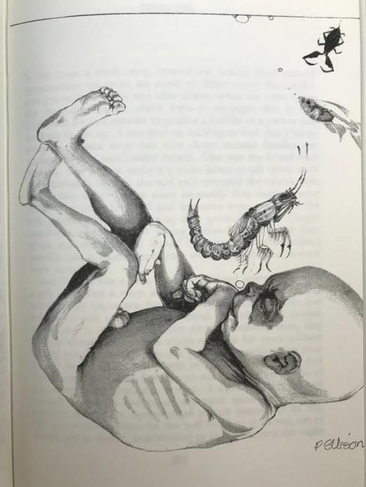 毛姆短篇小说集《环境产物》 保利娜·埃里森趣味插图 复古真皮脊精装32开 商品图10