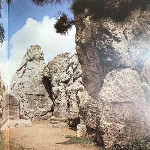 近东与中东艺术图集 291幅插图（150幅彩色） 精装18开 商品图8