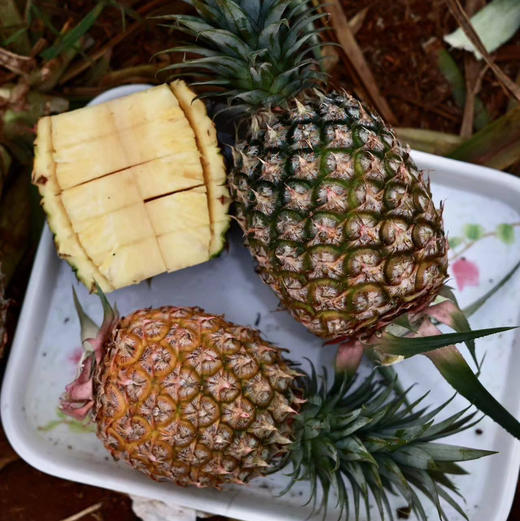 【海南有机金钻凤梨】金黄色的果肉，果香淡雅迷人， 果肉带来的甜蜜滋味 不涩口不麻嘴无需盐泡 肉质脆嫩、细腻、纤维少，还有丰盈的汁水一咬就爆汁 商品图11
