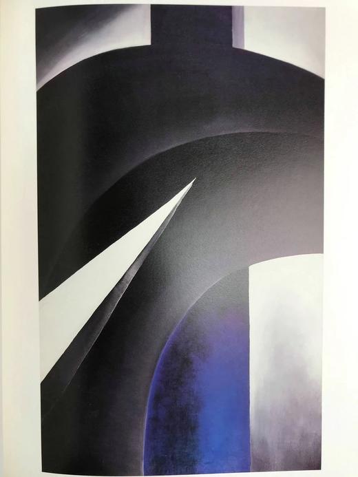 埃布斯沃思收藏：美国现代主义，1911-1947年 75幅彩色插图 精装16开 商品图10