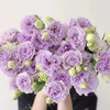 国产花材-【洋桔梗】波浪浅紫 商品缩略图0