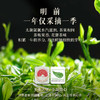 （预计上市时间3月中下旬）2024中茶抢鲜木盒-洞庭山碧螺春茶250g 中粮出品 商品缩略图3