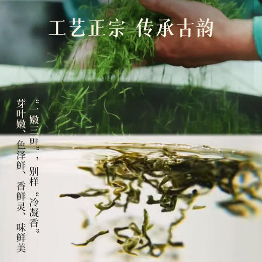 （预计上市时间3月中下旬）2024中茶抢鲜木盒-洞庭山碧螺春茶250g 中粮出品 商品图1