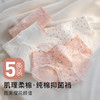 甜美蕾丝少女三角内裤女纯棉抑菌底裆高弹不勒不夹臀168樱花少女内裤5条装 商品缩略图0