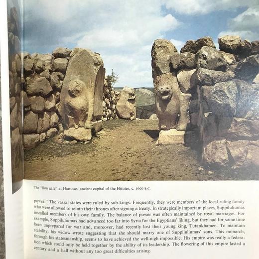 近东与中东艺术图集 291幅插图（150幅彩色） 精装18开 商品图7