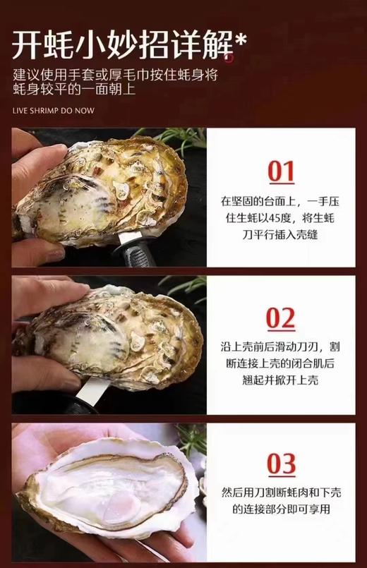 乳山大生蚝，包活包邮到家！口感巨嫩巨鲜！！ 商品图6