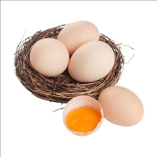 霖勉 新鲜农家散养土鸡蛋 30枚/50枚精选土鸡蛋 谷物喂养 新鲜现捡 整箱京东快递 48小时内发货 商品图13