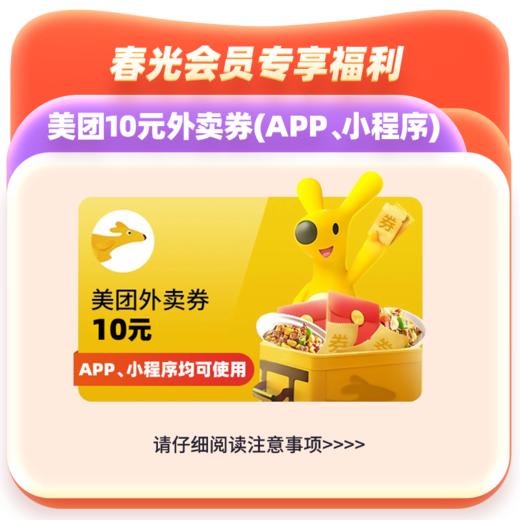美团10元外卖券(无门槛) - 虚拟产品不退不换 商品图0