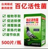 台湾赛鸽联盟顺成鸽药【百亿活性菌片500粒】种幼鸽调节肠道百益活菌 商品缩略图0
