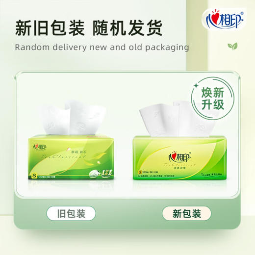 心相印  抽纸  DT15120心相印茶语抽纸120抽*20包 商品图1