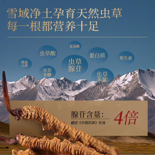 羽心堂 雪顶曜日 冬虫夏草 3.3g/盒 商品图4