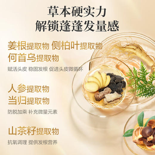 阿道夫  洗发水  姜护理专研洗发水(防脱育发)300ml 商品图3