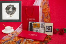 【礼迎泰康】鑫彩之云胸花丝巾扣+随机丝巾一条