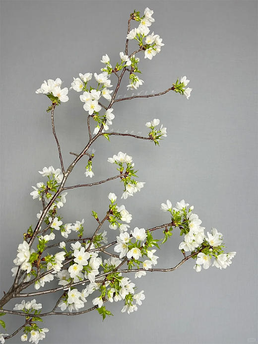 精品花材国产粉/白色樱花一扎 商品图7