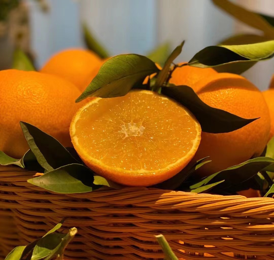 四川耙耙柑应季橙子现摘果冻橙5斤/8斤新鲜水果